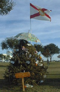 Christmas Tree in Z'hills