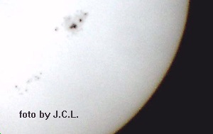 Sunspots or Spider Mites by J.C.L.