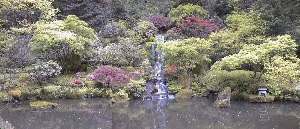 Japanese Garden