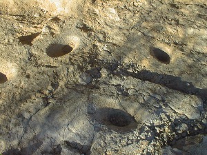Metates for Grinding Corn at the Windmill Caves