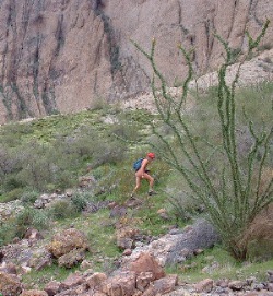 Running to catch up with my nose. efoto by Tom.