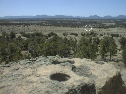 Bus Is In The White Circle.