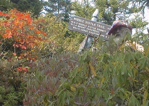 Middle Sister Trail Junction