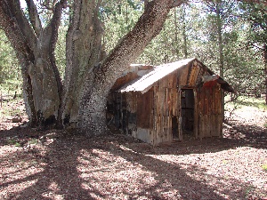 Kaibab Cabin from the northwest