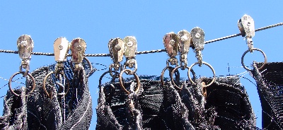 Shade Cloth Detail