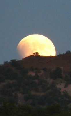 Eclipse at Moonrise