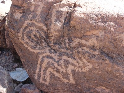 Petroglyphs on Saddle Mtn
