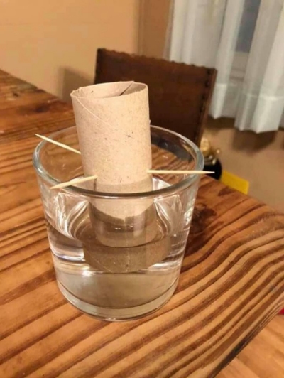 Toilet Paper Seed Starter