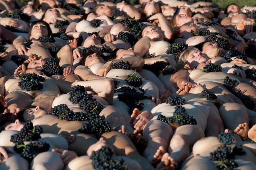 Nudes in the Vineyard