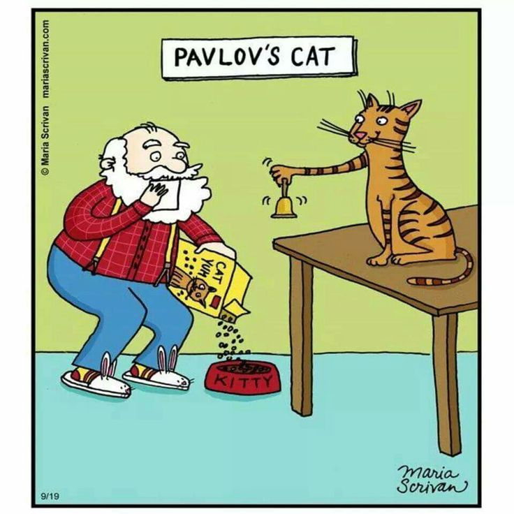 Pavlov's Other Cat