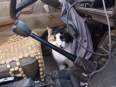 Which Pedal did you say was the Clutch?