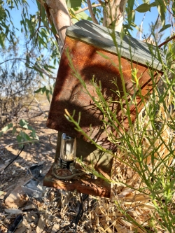 Phone Line Spark Arrestor