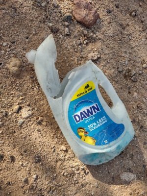 So Dawn Goes Down To Drain