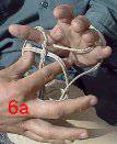 --image BF06a.jpg--