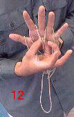 --image DM12.jpg--
