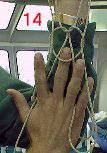 .--image DM14.jpg--