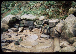 Guyot Spring Years Later